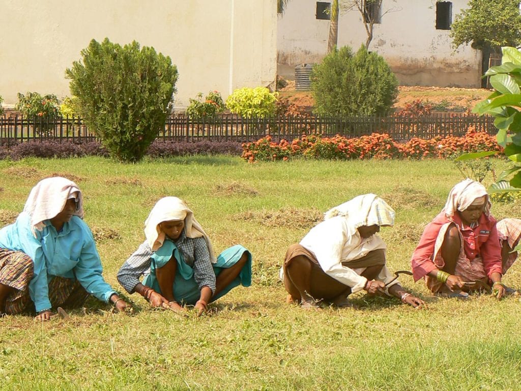 Goa, jardinières